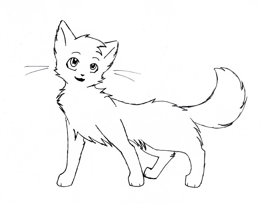 Cat Outline Drawing