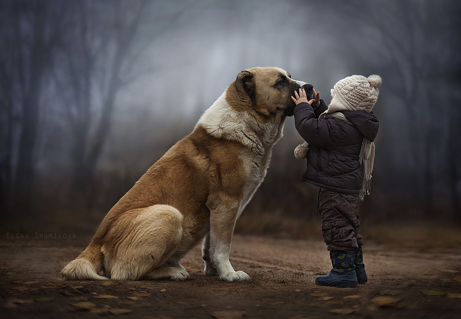 Elena Shumilova Photography