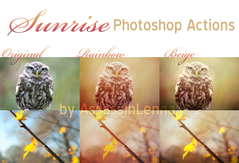 Fall Photoshop Elements Actions