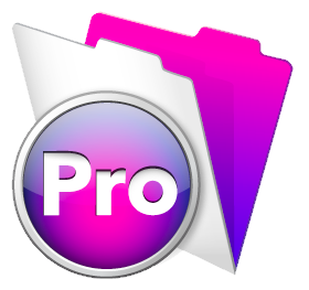 FileMaker Pro Icon