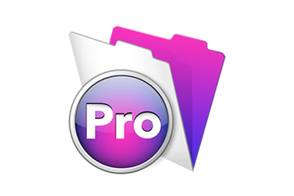 FileMaker Pro Icon