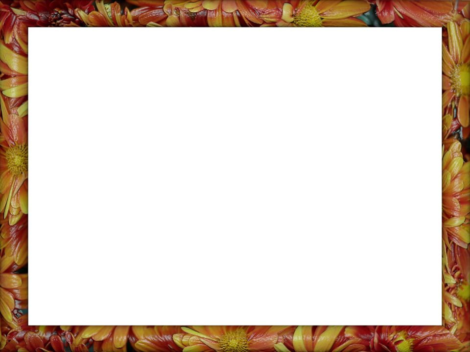 Frames and Borders Transparent Background Frames and Borders Transparent Background
