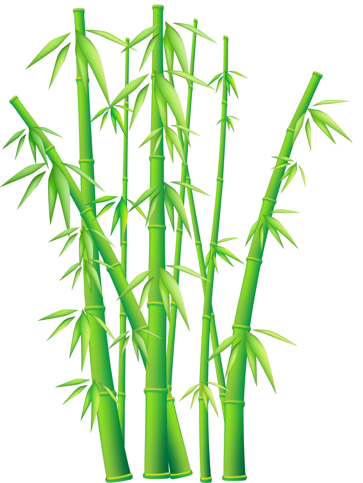 Free Bamboo Vector Clip Art