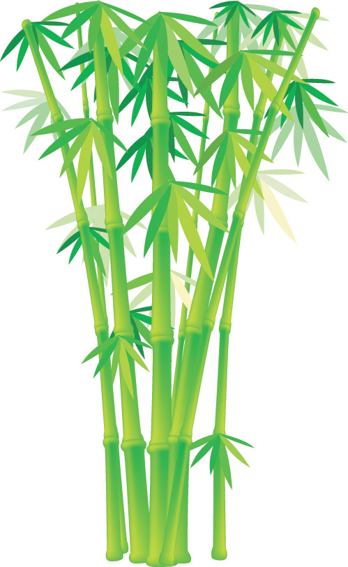 Free Bamboo Vector