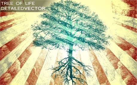 Free Vector Tree of Life