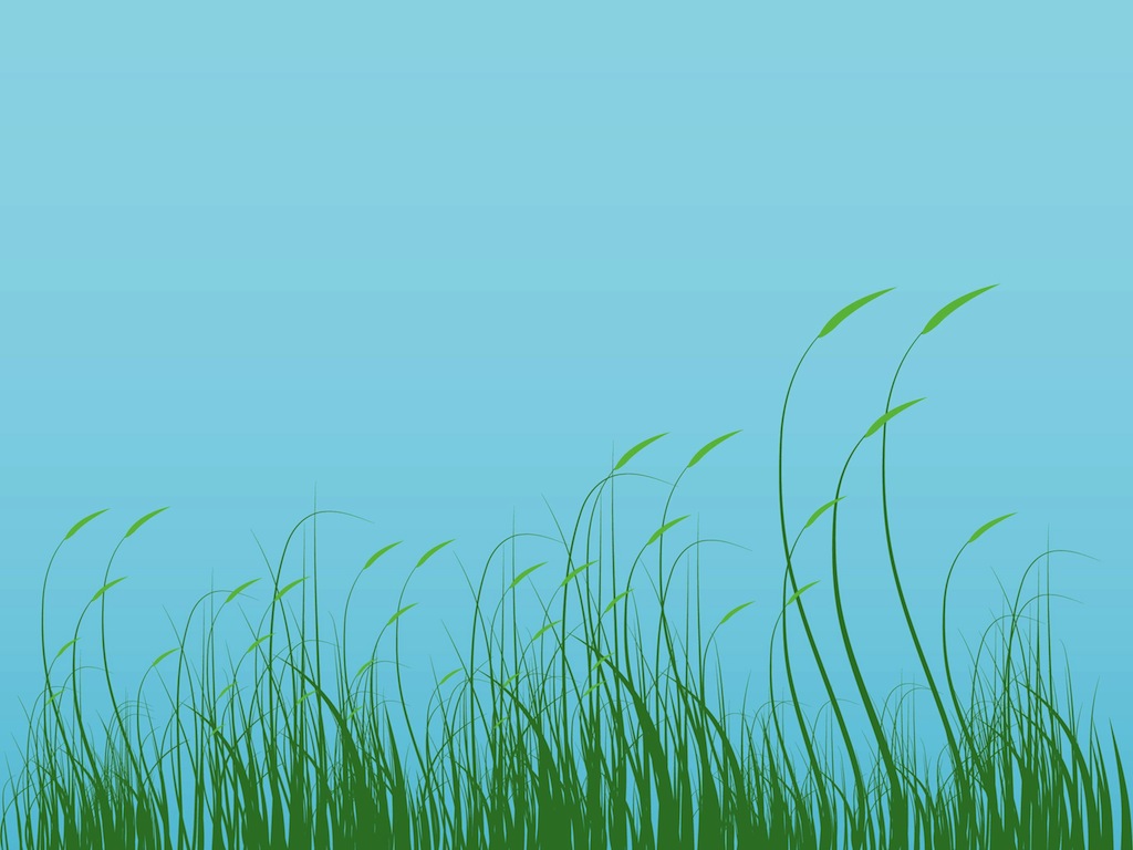 Grass Vector Graphic