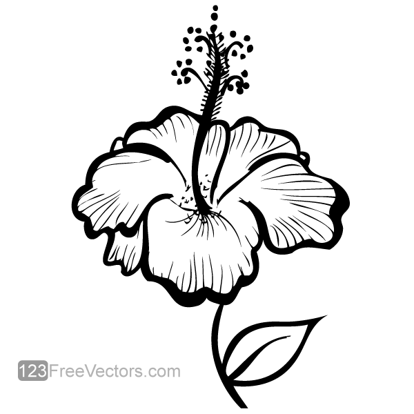 Hand Drawn Flower Vector Free