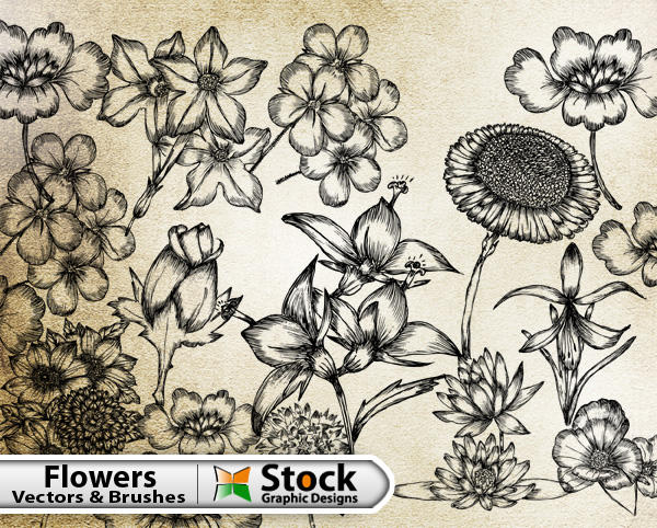 17 Photos of Free Hand Drawn Flowers Vectors