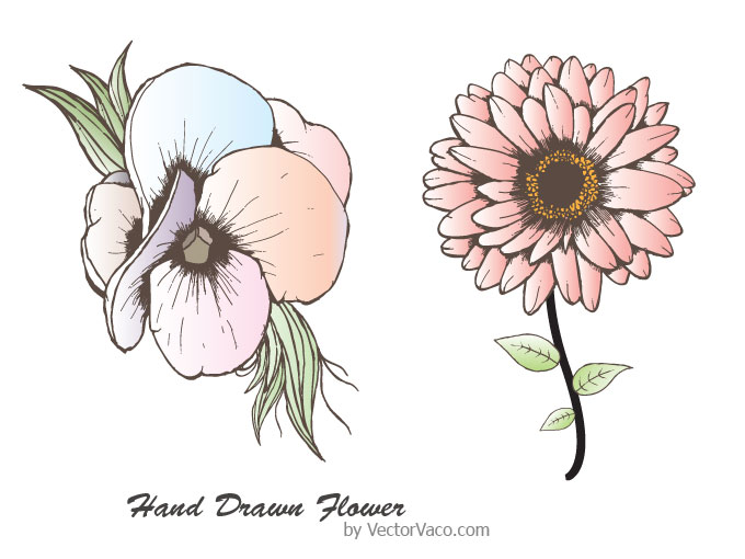Hand Drawn Flowers Hand Drawn Flowers