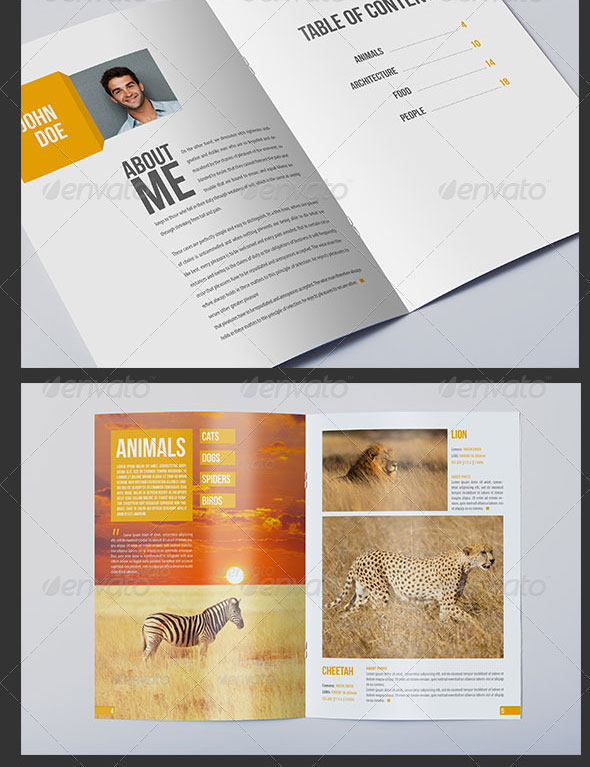 InDesign Portfolio Template