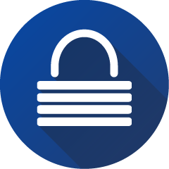 Information Security Icon