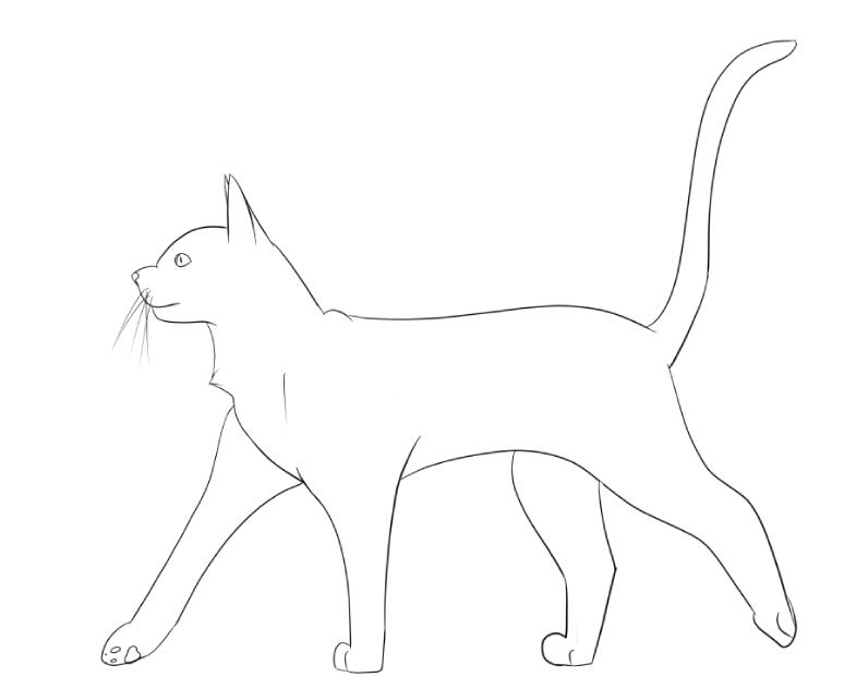 Line Drawing Cat Walking