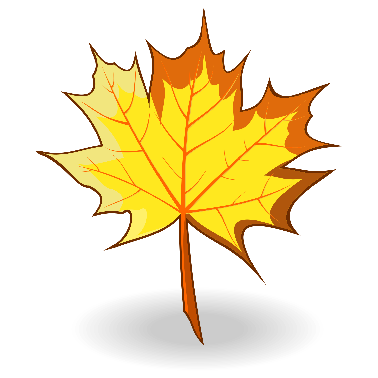 Maple Leaf Vector