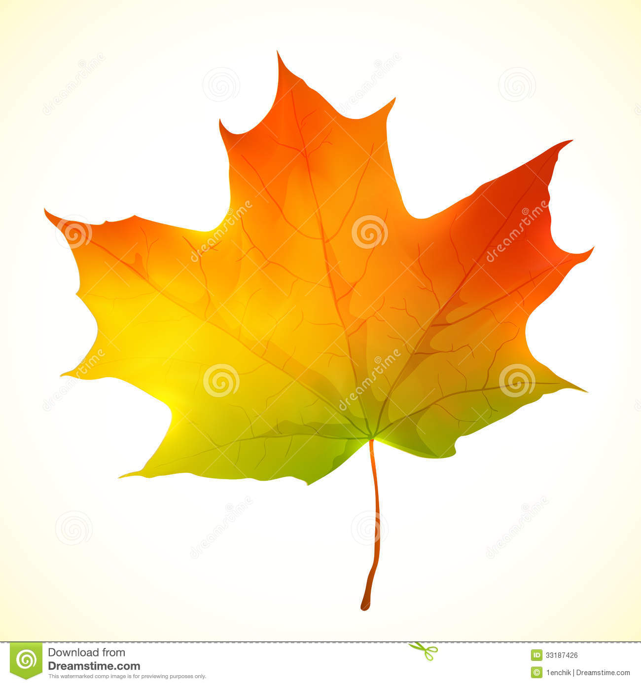 Maple Leaf Vector
