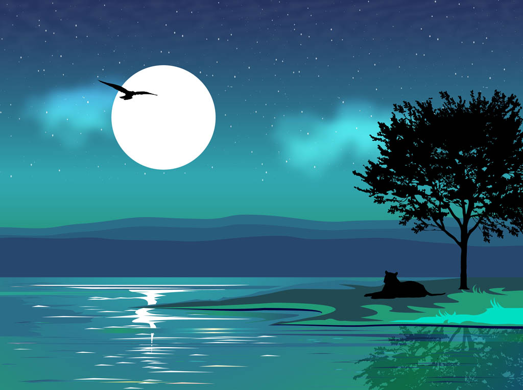 Night Landscape Vector