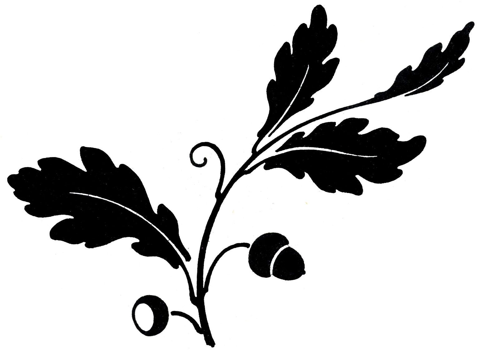 Oak Leaf Silhouette Clip Art Oak Leaf Silhouette Clip Art