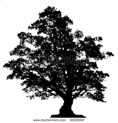 Oak Tree Outline Vector