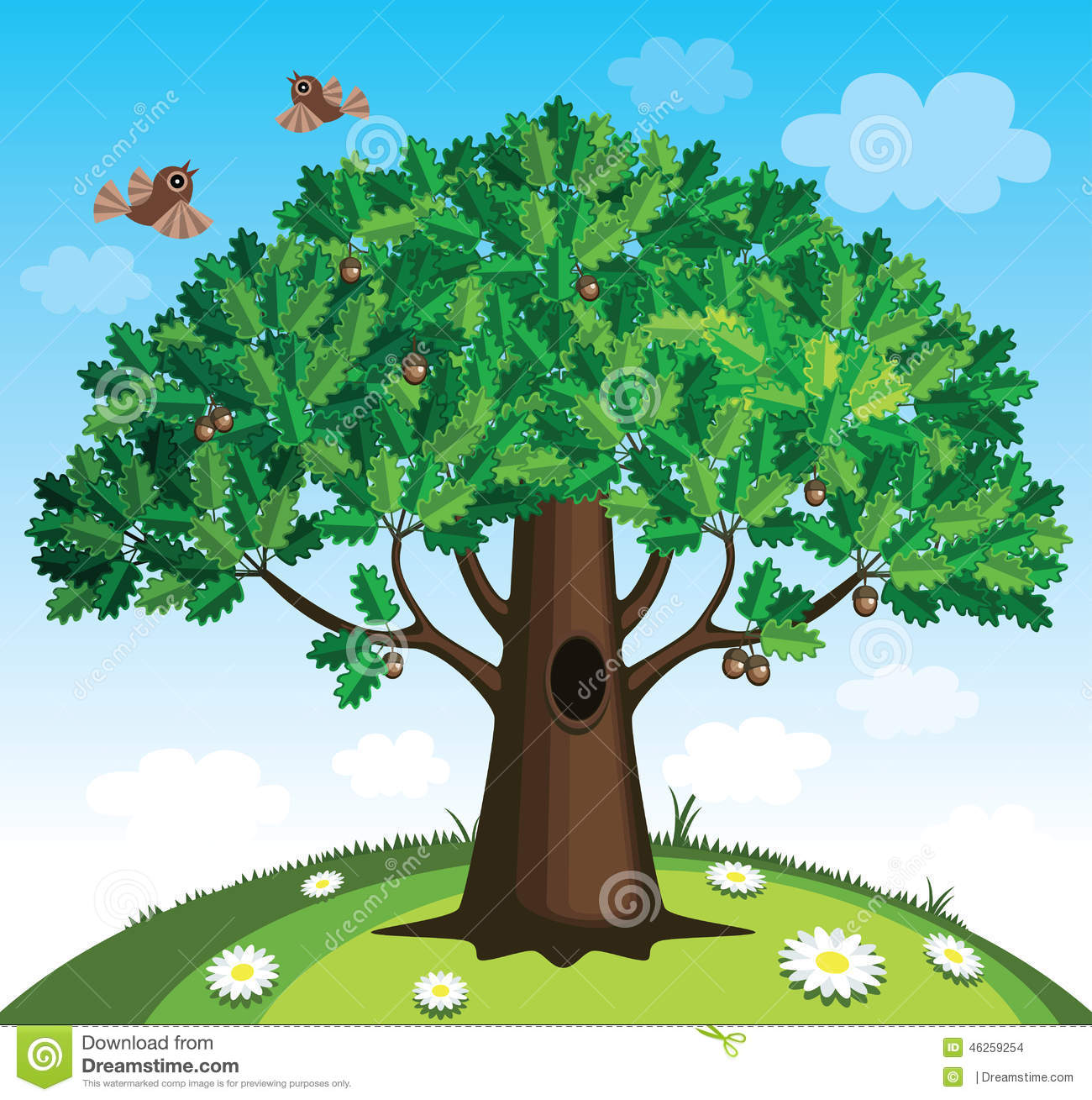 Oak Tree Vector Illustration