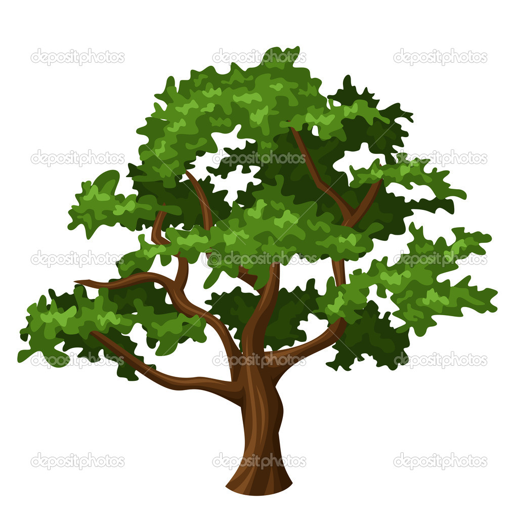 Oak Tree Vector Illustration