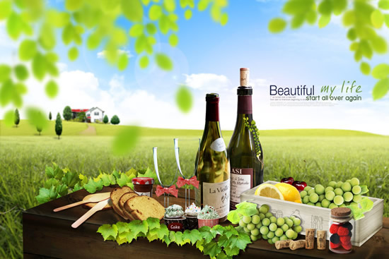 Picnic Scenery Picnic Scenery