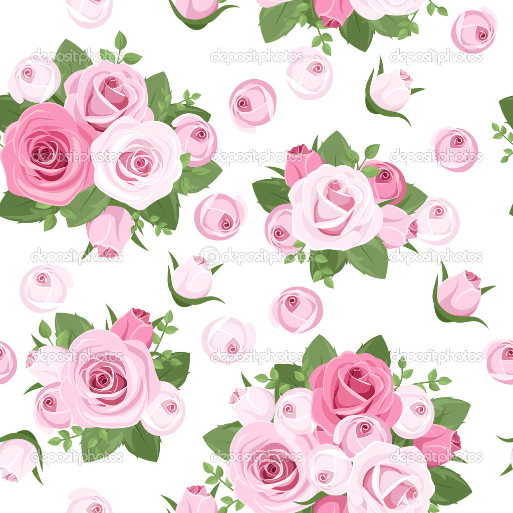 Pink Roses with White Background