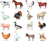 Realistic Farm Animal Clip Art