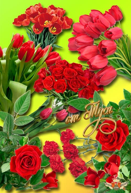 Red Rose Flower Clip Art