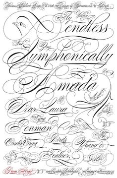 Script Fonts Template