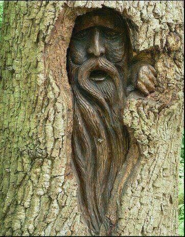 Tree Spirit Carving