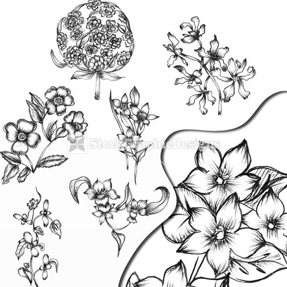 Vector Hand Drawn Flowers