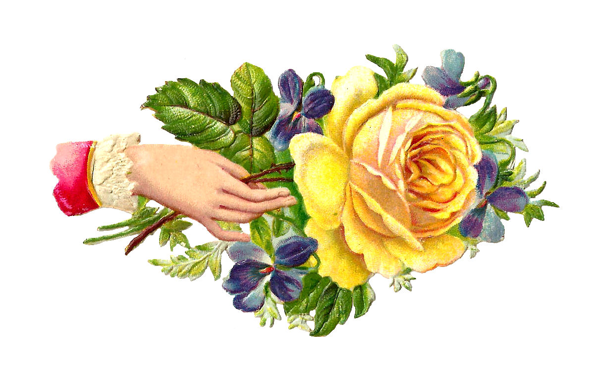 Yellow Rose Flower Clip Art