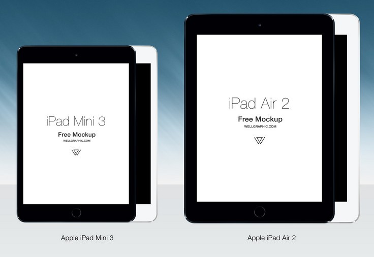 13 PSD IPad Mini 3 Images