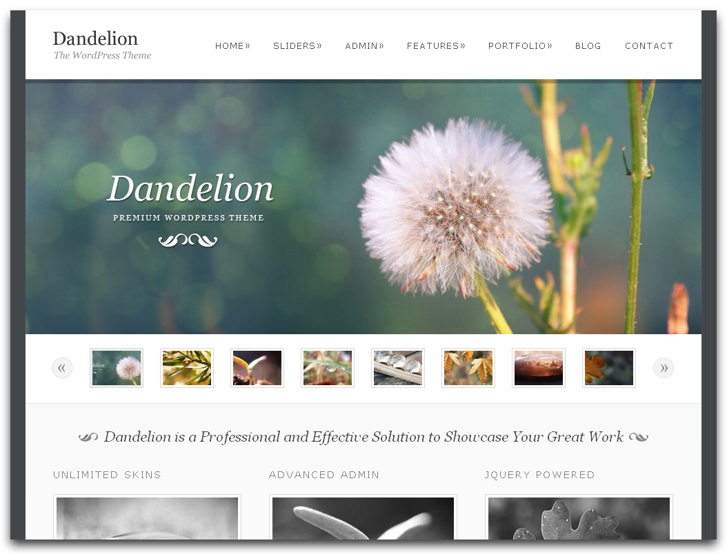 Best Photography Website Design