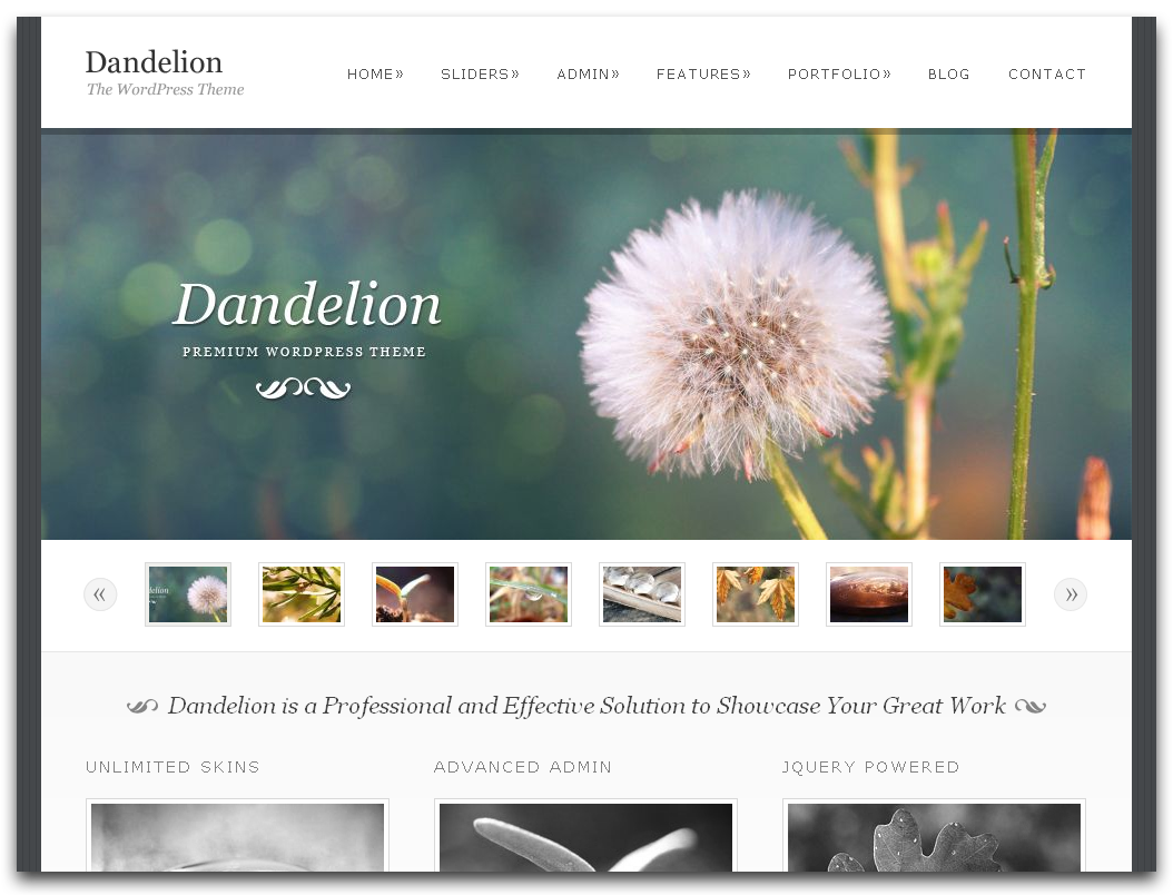 Best Photography Website Design Best Photography Website Design