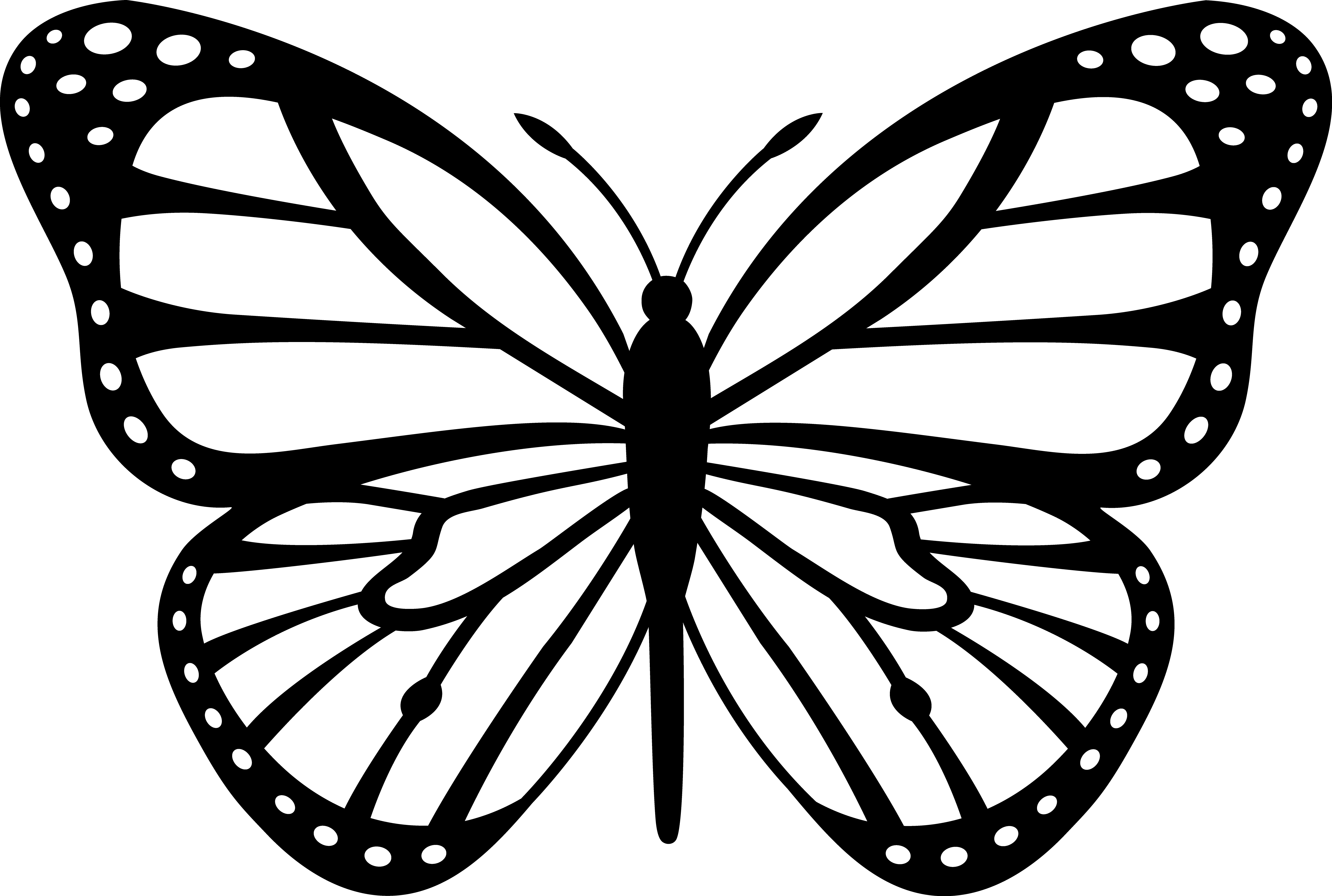 Black and White Butterfly Clip Art