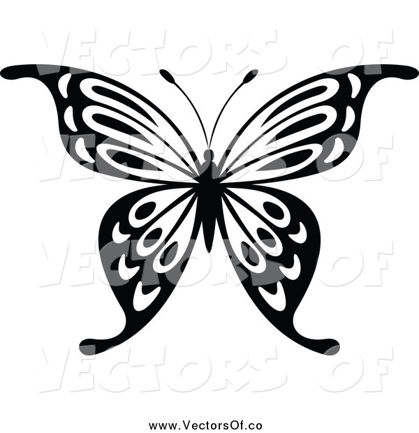 Black and White Butterfly Vector Art