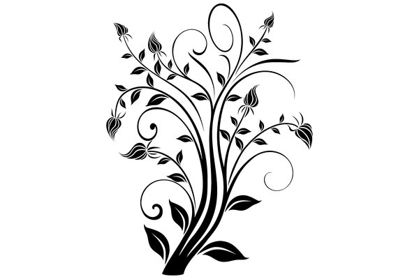 Black and White Flourish Vector