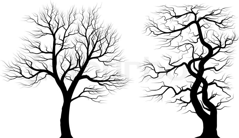 Black and White Tree Silhouette Vector