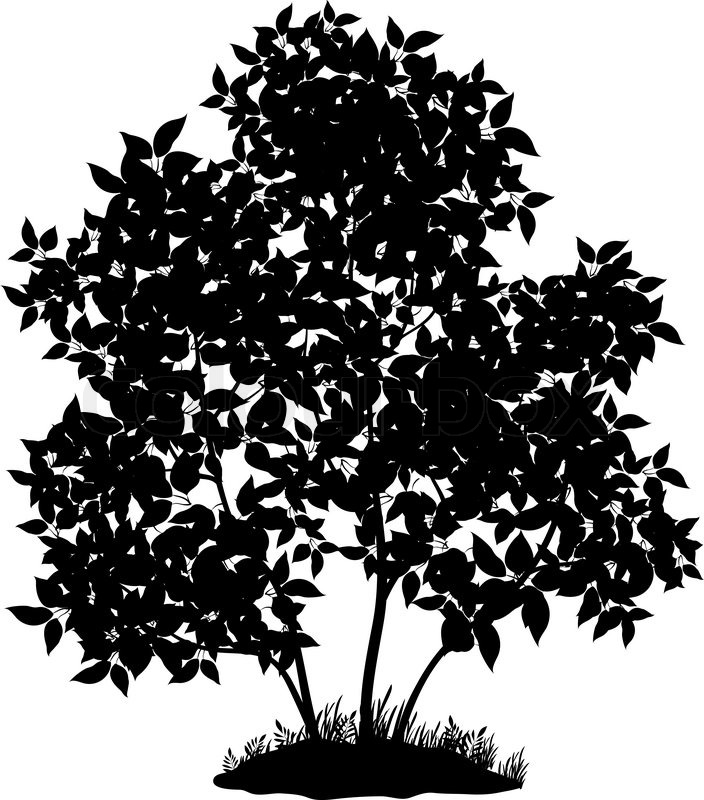 Black and White Tree Silhouette