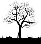 Black and White Tree Vector Illustration