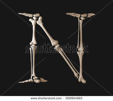 Bone Letter Alphabet Bone Letter Alphabet
