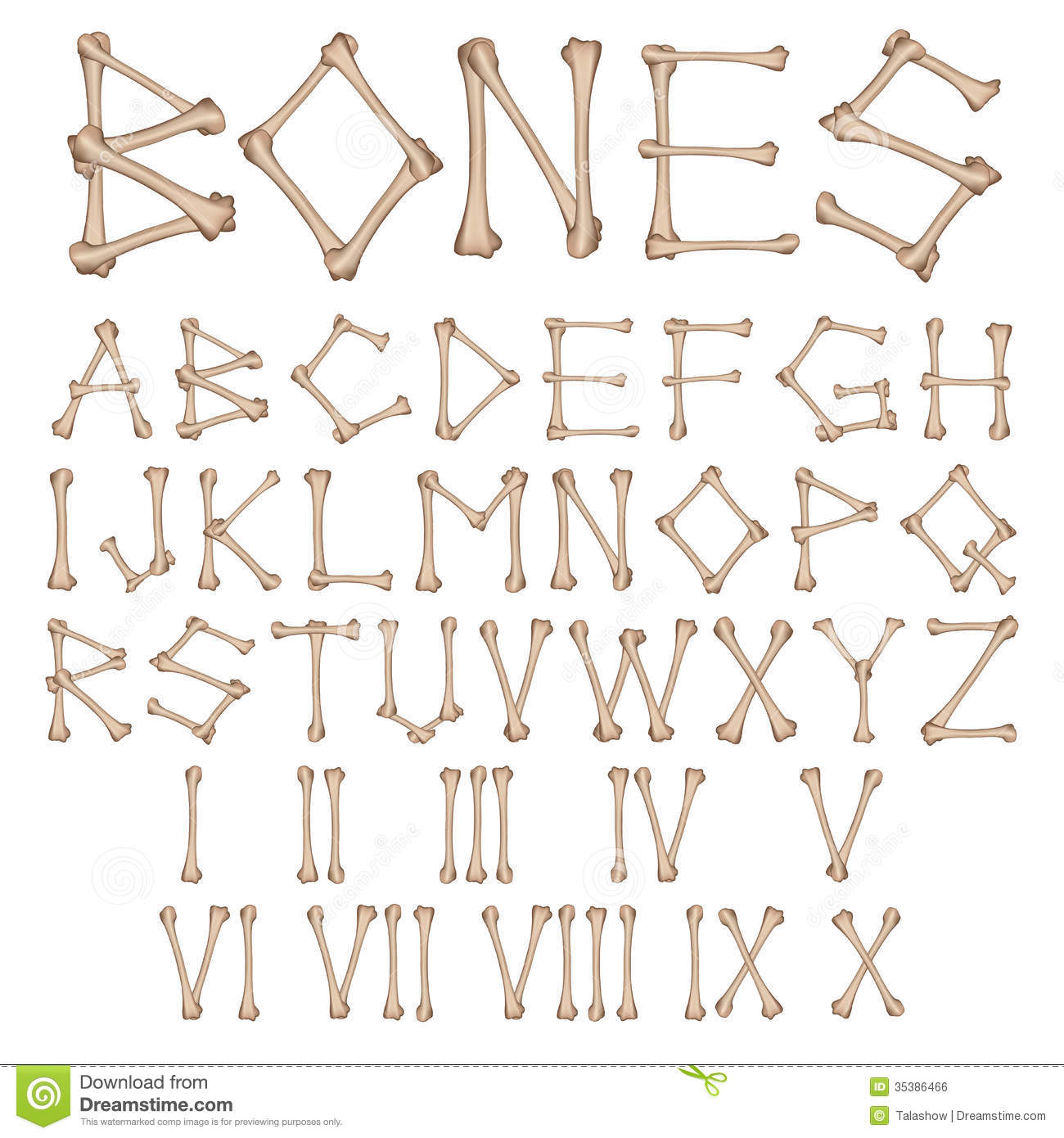 Bone Shaped Alphabet Letters