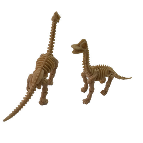 Brachiosaurus Skeleton Model