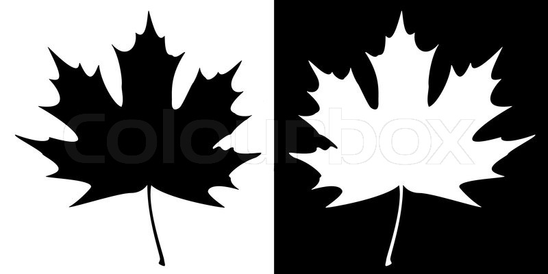 Canadian Maple Leaf Clip Art