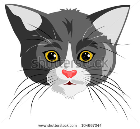 Cartoon Cat Head