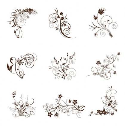 Decorative Flourish Vector