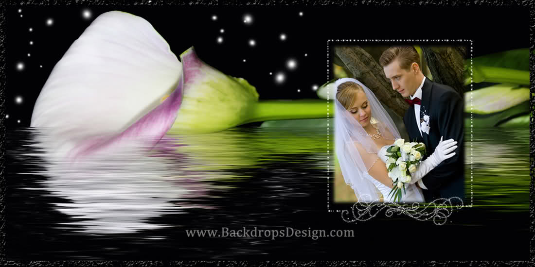 Digital Wedding Album Templates