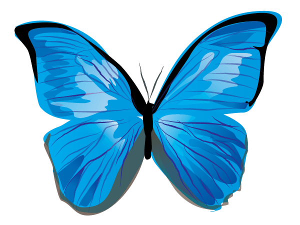 Free Butterfly Vector Graphics