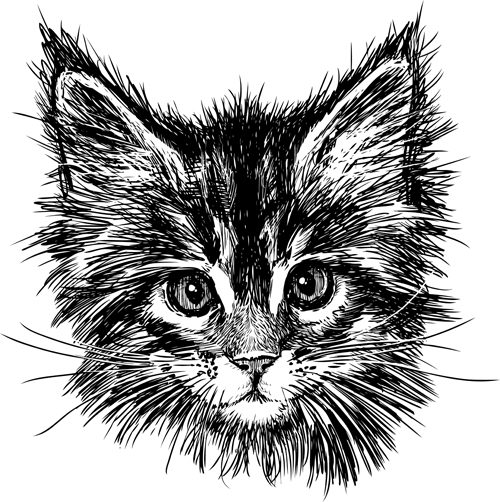 Free Cat Hand Drawn Vectors