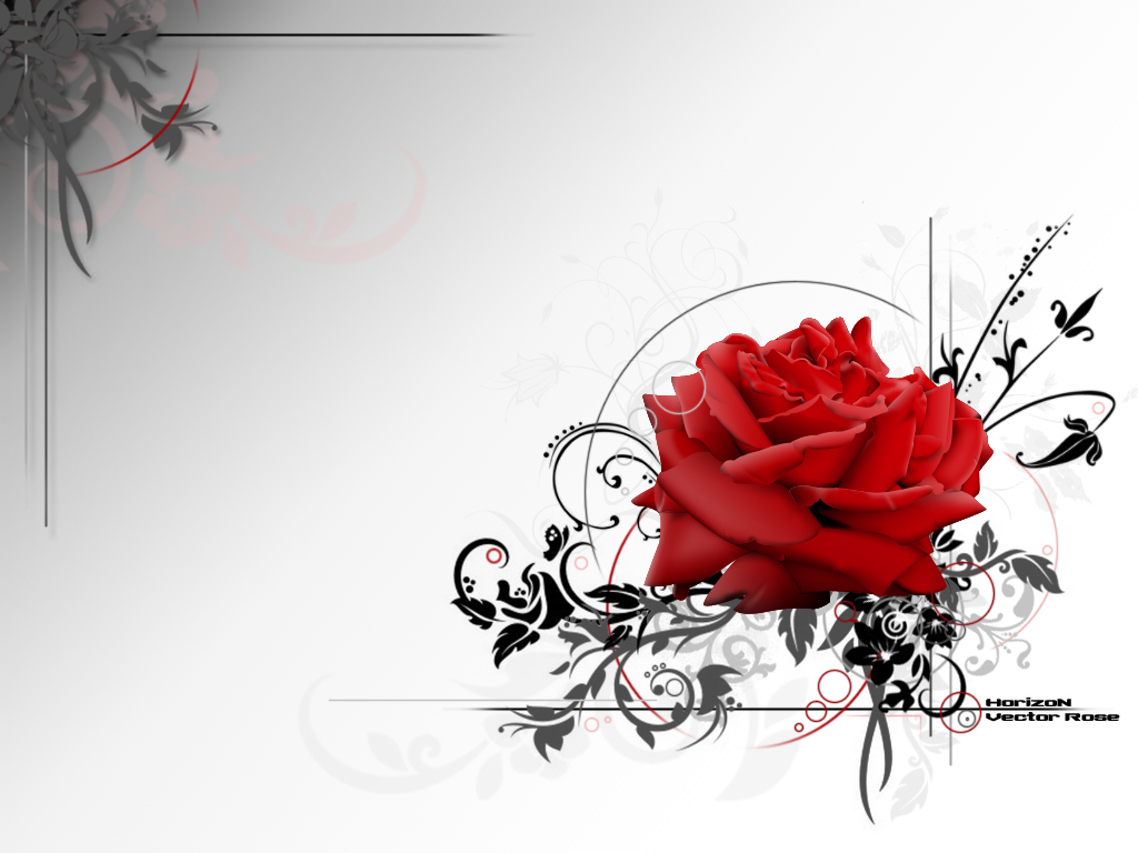 18 Rose Vector Art Images